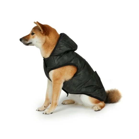 Pajar dog coat - Duff style, size XXL, new with tags - Picture 4 of 9